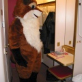 Pic 04