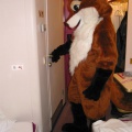 Pic 14