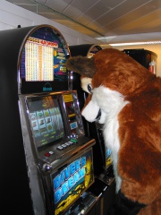 Playing with money machine 2