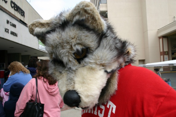 IMG 9951