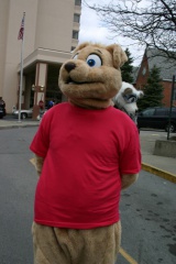 IMG 9992