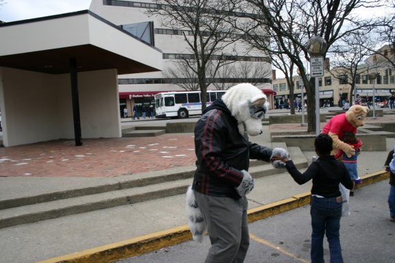 IMG 9996