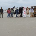 Kovudalion 201204 Jacksonville Beach 007