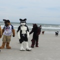 Kovudalion 201204 Jacksonville Beach 014