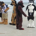 Kovudalion 201204 Jacksonville Beach 026