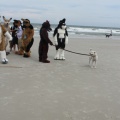 Kovudalion 201204 Jacksonville Beach 027