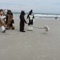 Kovudalion 201204 Jacksonville Beach 028