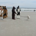 Kovudalion 201204 Jacksonville Beach 029