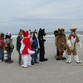 Kovudalion 201204 Jacksonville Beach 030