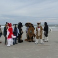 Kovudalion 201204 Jacksonville Beach 035
