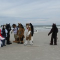 Kovudalion 201204 Jacksonville Beach 039