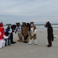 Kovudalion 201204 Jacksonville Beach 046
