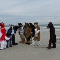 Kovudalion 201204 Jacksonville Beach 047