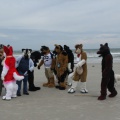 Kovudalion 201204 Jacksonville Beach 048