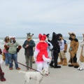 Kovudalion 201204 Jacksonville Beach 061