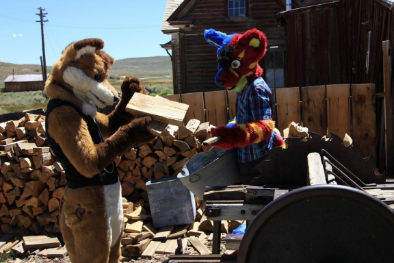 2013 ArtreeKonu Ghosttown Bodie 37