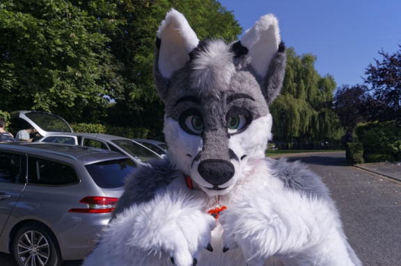 Aoikitsune DSC6410 DxO11