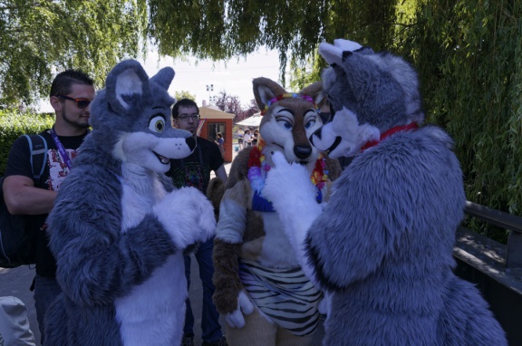 Aoikitsune DSC6455 DxO11