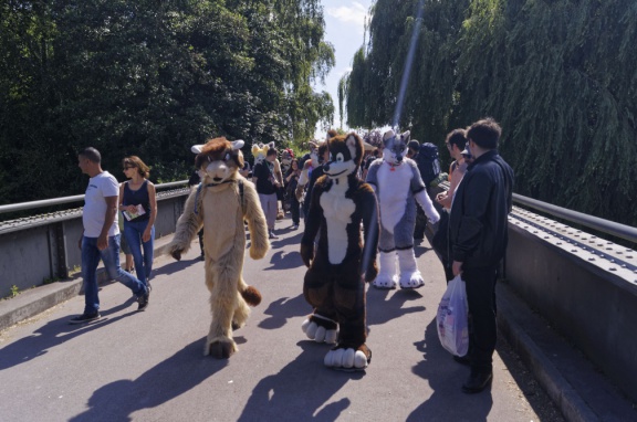 Aoikitsune DSC6459 DxO11