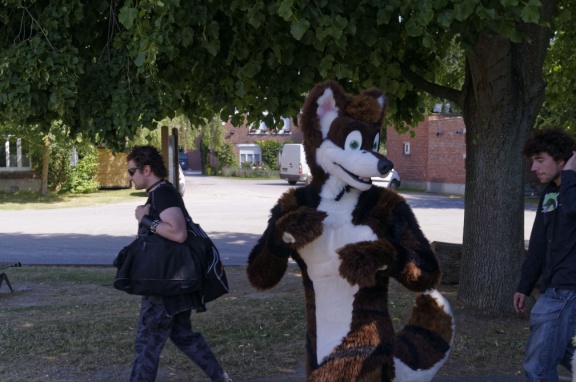 Aoikitsune DSC6473 DxO11