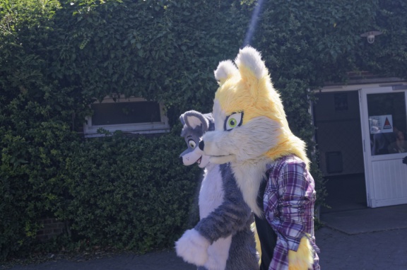 Aoikitsune DSC6497 DxO11