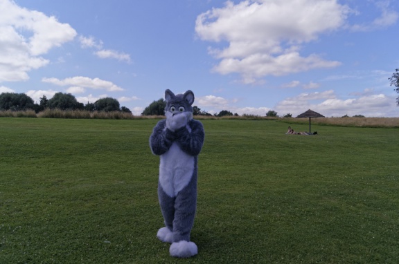 Aoikitsune DSC6532 DxO11