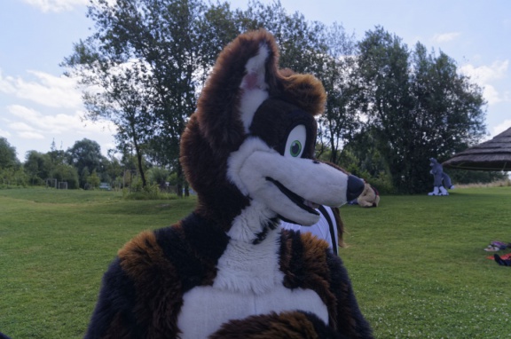 Aoikitsune DSC6544 DxO11