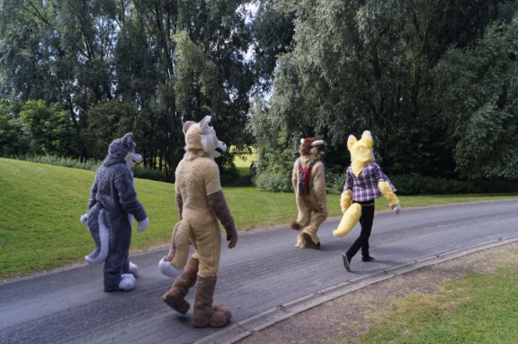 Aoikitsune DSC6600 DxO11