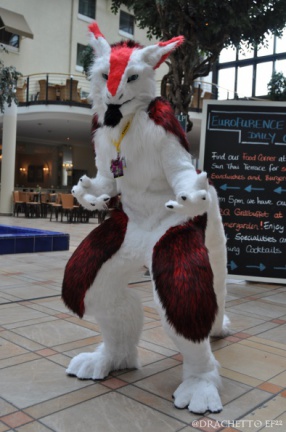 EF22 pictures by Drachetto
