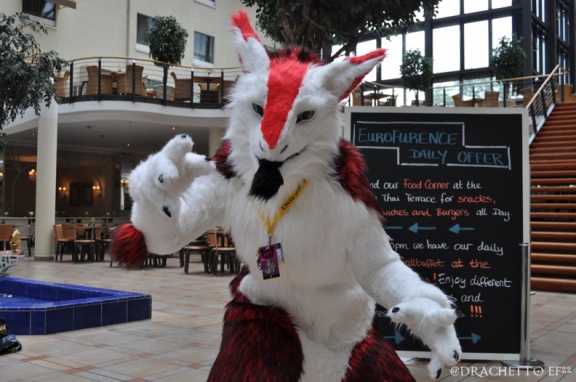 EF22 pictures by Drachetto