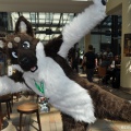 EF22 pictures by Drachetto