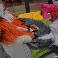 EF22 pictures by Drachetto