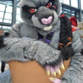 EF22 pictures by Drachetto