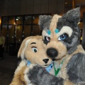 EF22 pictures by Drachetto
