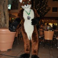 EF22 pictures by Drachetto