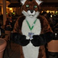 EF22 pictures by Drachetto