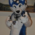 EF22 pictures by Drachetto