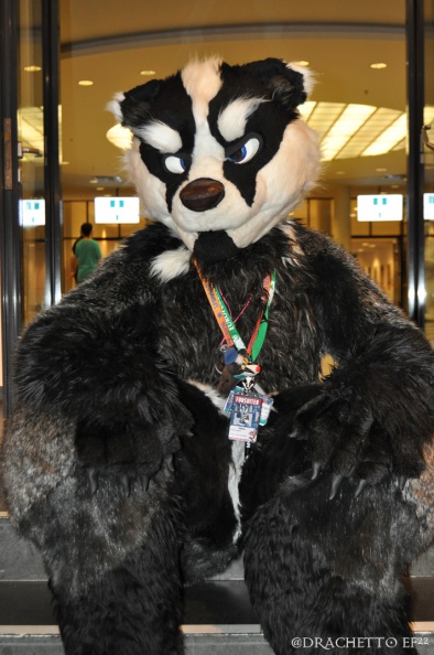 EF22 pictures by Drachetto