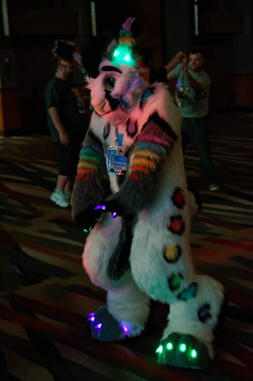 Aoi TFF2019 D1 05