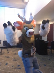 photo 2019-11-03 06-27-08