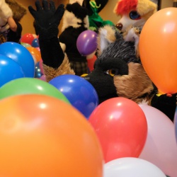 Balloons, Lots !