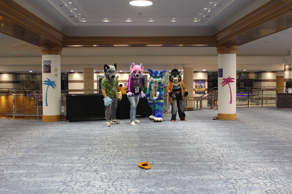 IMG 1124