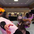 IMG 2259