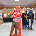 IMG 2264