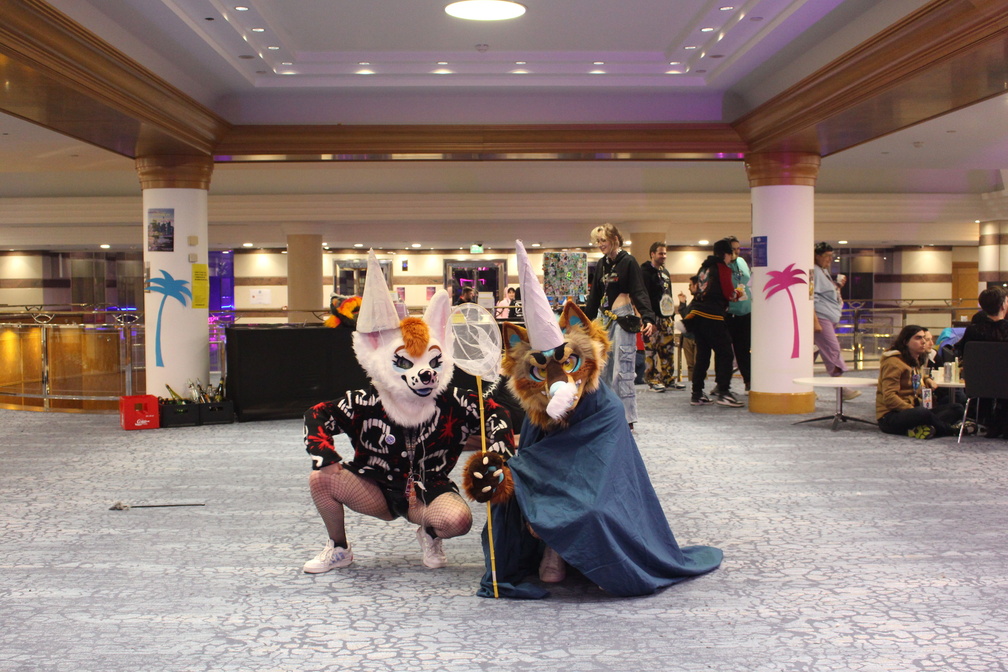 IMG 2416