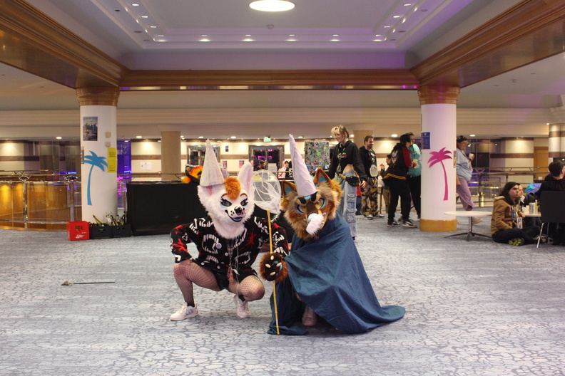 IMG 2416