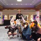 IMG 2418