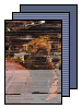 [dead dog party]