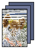 [suitwalk sunday]
