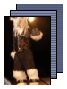 [Stage]